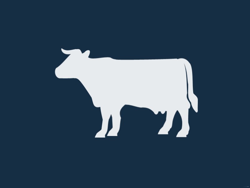 Матрица БКГ: учимся правильно доить коров 3 Cash Cow, дойная корова